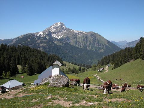 Photo des grands Plans à Châtel