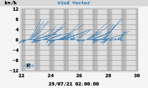 Wind Vector