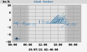 Wind Vector