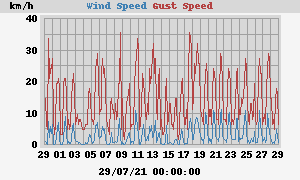 wind