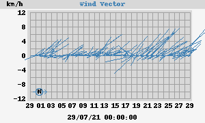 Wind Vector